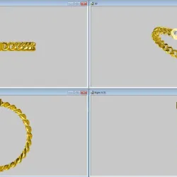 chain ring