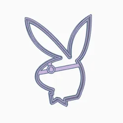 COOKIE-CUTTER PLAYBOY