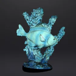 Coral and fish