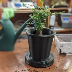 Digital flower pot