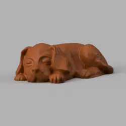 Dog lying down