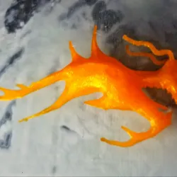 Ender dragon logo in 3D