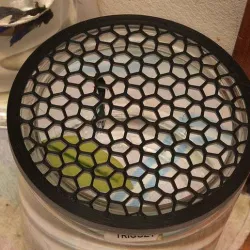 Fish Bowl Cover