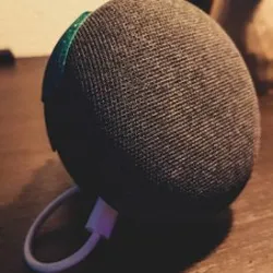 Google Home Mini EU wall socket