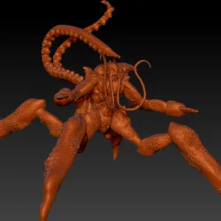 kraken