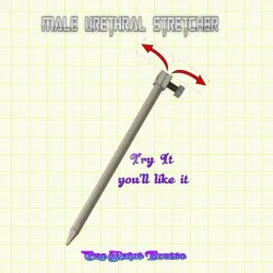 male Urethral Stretcher Sounds Penis Plug peehole insert solo play us-02 3d print cnc
