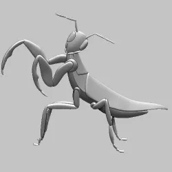 Mantis, mantis insect 3D relief