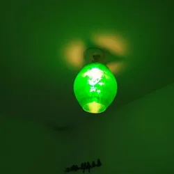Nature Lamp