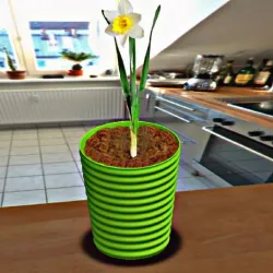 plant pot