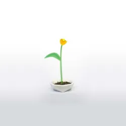 Polypod - Polygon flower pod