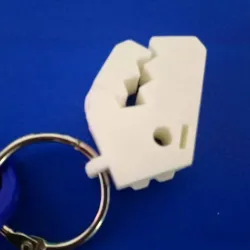 Rex keychain