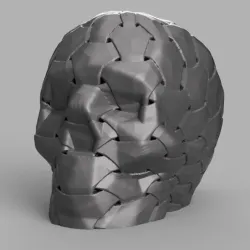 Skull hexa X2