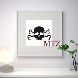 SKULL WALL SCULPTURE 2D