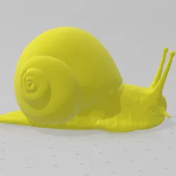 snail