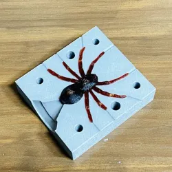 Spider fishing lure mold