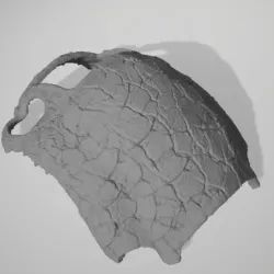 The Heftiest Maple Sterius Warrior Scale Carapace