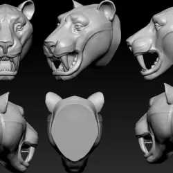 Tiger Head  Number06