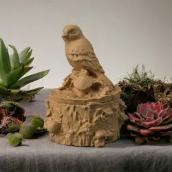 Tree trunk bird