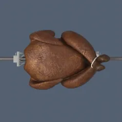 turkey for thanksgiving