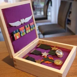 Wing Commander Medal Set