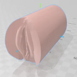 3D Printable Pocket Pussy Cast