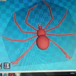 Ashley's cinnamon spider