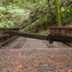 Basic Katana
