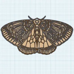 Bombyx