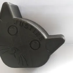 Cat Box