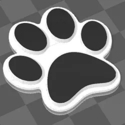 cat footprint