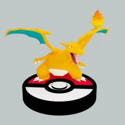 CHARIZARD POKEMON