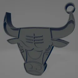 Chicago Bulls keychain