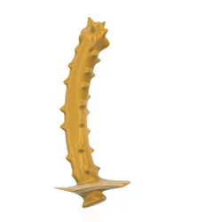 dildo sex toy dong dick penis "ORIGINAL PREDATOR" v26 3d print cnc