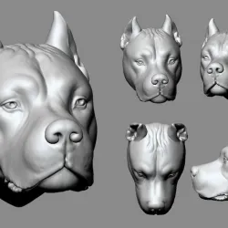 Dogo Dog Head