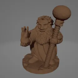 Dwarf Hero Wizard