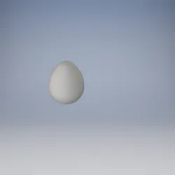 Egg