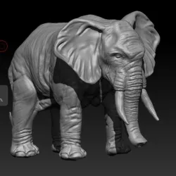 Elephant