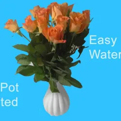 Flower Pot