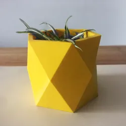 flower pot LOW POLY