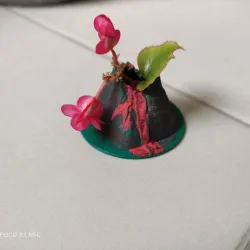 FLOWER VOLCANO