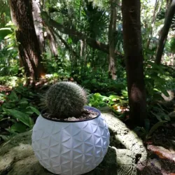 Flowerpot flower of life