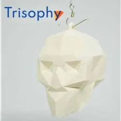 Low poly skull