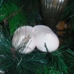 Naughty Christmas tree decorations