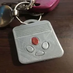 Remote control for gate -  Control remoto puerta