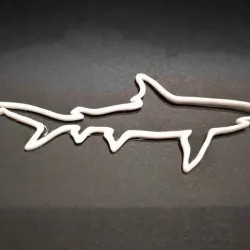 Shark outline