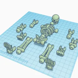 skeleton articulated functionalnal STL