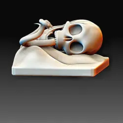Skull and snake