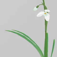 Snow  Drop 3D