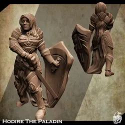 Support Free Paladin Miniature Hodire The Paladin