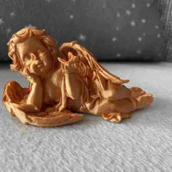 Another Angel scan